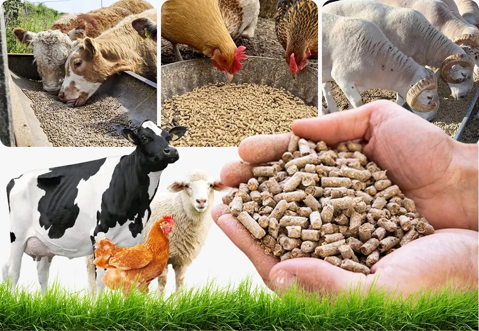 Winmark Technology OPC